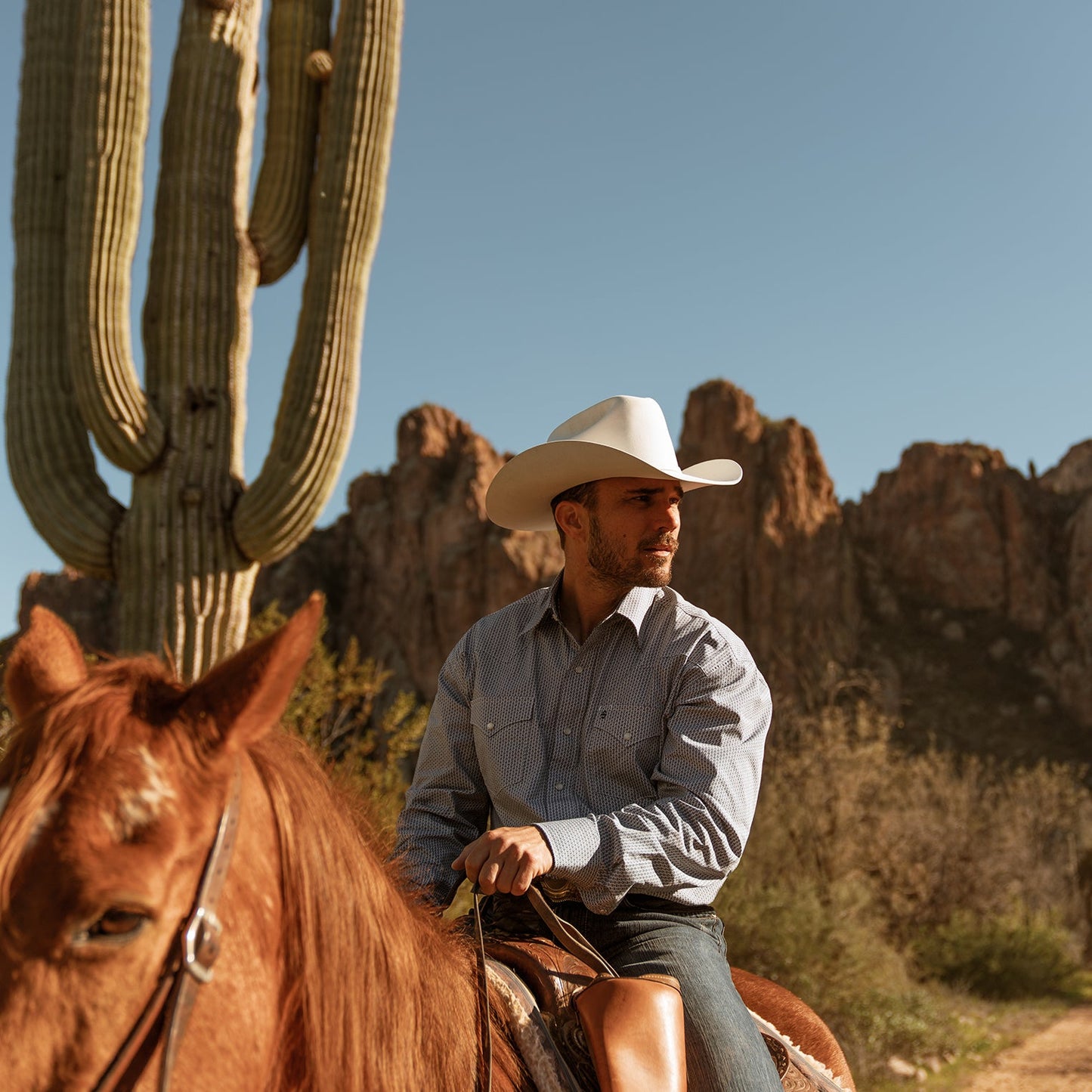 Chapeau de cowboy Shasta 10X Premier